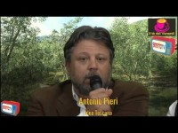Il tè del venerdì dell'8 aprile 2016 dagli studi di sesto.tv