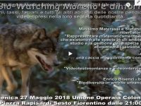 Bio Watching Morello e dintorni. Domenica 27 maggio 2018 alle 21